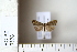  ( - CCDB-11134-E05)  @13 [ ] Copyright  B. Zlatkov 2011 Unspecified