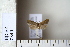  ( - CCDB-11134-E07)  @12 [ ] Copyright  B. Zlatkov 2011 Unspecified