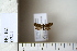  ( - CCDB-11134-E08)  @12 [ ] Copyright  B. Zlatkov 2011 Unspecified
