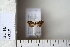  ( - CCDB-11134-F04)  @12 [ ] Copyright  B. Zlatkov 2011 Unspecified