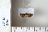  ( - CCDB-11134-G01)  @11 [ ] Copyright  B. Zlatkov 2011 Unspecified