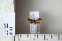  ( - CCDB-11134-G04)  @12 [ ] Copyright  B. Zlatkov 2011 Unspecified