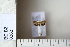  ( - CCDB-11134-G06)  @12 [ ] Copyright  B. Zlatkov 2011 Unspecified