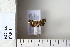  ( - CCDB-11134-G12)  @12 [ ] Copyright  B. Zlatkov 2011 Unspecified