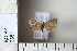  ( - CCDB-11135-A01)  @12 [ ] Copyright  B. Zlatkov 2011 Unspecified