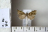 ( - CCDB-11135-A02)  @12 [ ] Copyright  B. Zlatkov 2011 Unspecified