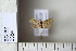  ( - CCDB-11135-A04)  @12 [ ] Copyright  B. Zlatkov 2011 Unspecified