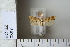  ( - CCDB-11135-B05)  @12 [ ] Copyright  B. Zlatkov 2011 Unspecified