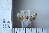  ( - CCDB-11135-C12)  @12 [ ] Copyright  B. Zlatkov 2011 Unspecified