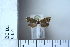  ( - CCDB-11135-F11)  @12 [ ] Copyright  B. Zlatkov 2011 Unspecified