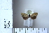  ( - CCDB-11135-G02)  @12 [ ] Copyright  B. Zlatkov 2011 Unspecified