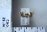  ( - CCDB-11135-G11)  @12 [ ] Copyright  B. Zlatkov 2011 Unspecified