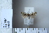  ( - CCDB-11135-H06)  @12 [ ] Copyright  B. Zlatkov 2011 Unspecified