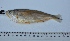  ( - LBPN-27202)  @14 [ ] Unspecified (default): All Rights Reserved  Unspecified Unspecified