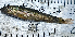  ( - B12_Nkhota kota)  @11 [ ] CreativeCommons - Attribution (2023) Mexford Chimwemwe Mulumpwa Lilongwe University of Agriculture and Natural Resources