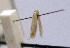  ( - SDNU.LIU0195)  @11 [ ] No Rights Reserved (2021) Unspecified Research Collection of Zdenko Tokar