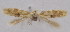  ( - SDNU.ZT12920)  @11 [ ] No Rights Reserved (2021) Unspecified Research Collection of Zdenko Tokar