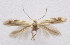  ( - SDNU.ZT13191)  @11 [ ] No Rights Reserved (2021) Unspecified Research Collection of Zdenko Tokar