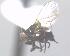  ( - BUIC-DIP1537)  @11 [ ] CreativeCommons - Attribution Non-Commercial Share-Alike (2018) Jade Savage Bishop's University