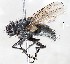  ( - BUIC-DIP1744)  @11 [ ] CreativeCommons - Attribution Non-Commercial Share-Alike (2019) Jade Savage Bishop's University