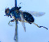  ( - BUIC-DIP1802)  @11 [ ] CreativeCommons - Attribution Non-Commercial Share-Alike (2020) Jade Savage Bishop's University
