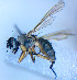  ( - BUIC-DIP1810)  @11 [ ] CreativeCommons - Attribution Non-Commercial Share-Alike (2020) Jade Savage Bishop's University