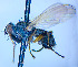  ( - BUIC-DIP1821)  @11 [ ] CreativeCommons - Attribution Non-Commercial Share-Alike (2020) Jade Savage Bishop's University
