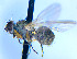  ( - BUIC-DIP1828)  @11 [ ] CreativeCommons - Attribution Non-Commercial Share-Alike (2020) Jade Savage Bishop's University
