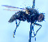  ( - BUIC-DIP1862)  @11 [ ] CreativeCommons - Attribution Non-Commercial Share-Alike (2020) Jade Savage Bishop's University