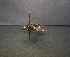  (Bombus diligens - BUMB0404)  @13 [ ] CreativeCommons - Attribution (2016) Unspecified El Colegio de la Frontera Sur