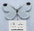  ( - RVcoll.14-O432)  @14 [ ] Copyright (2015) Laurian Parmentier Unspecified