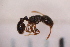  ( - BC3_01.07.16HY3F)  @12 [ ] CreativeCommons - Attribution Non-Commercial Share-Alike (2017) Unspecified Institut de Recherche sur la Biologie de l'Insecte
