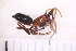  ( - BM1_11.07.16 Ar1)  @11 [ ] CreativeCommons - Attribution Non-Commercial Share-Alike (2017) Unspecified Institut de Recherche sur la Biologie de l'Insecte