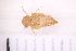  ( - BM4_27.06.16 He1)  @11 [ ] CreativeCommons - Attribution Non-Commercial Share-Alike (2017) Unspecified Institut de Recherche sur la Biologie de l'Insecte