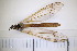  ( - CM4_15.05.17_Di3)  @11 [ ] CreativeCommons - Attribution Non-Commercial Share-Alike (2017) Unspecified Institut de Recherche sur la Biologie de l'Insecte