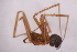  ( - CV1_03.05.16A2)  @11 [ ] CreativeCommons - Attribution Non-Commercial Share-Alike (2017) Unspecified Institut de Recherche sur la Biologie de l'Insecte