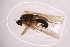  ( - CV1_03.05.16DB8)  @11 [ ] CreativeCommons - Attribution Non-Commercial Share-Alike (2017) Unspecified Institut de Recherche sur la Biologie de l'Insecte