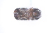  ( - CV1_23.05.17_SC1)  @11 [ ] CreativeCommons - Attribution Non-Commercial Share-Alike (2017) Unspecified Institut de Recherche sur la Biologie de l'Insecte