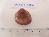  ( - TR1-028)  @12 [ ] Unspecified (default): All Rights Reserved  Unspecified Unspecified
