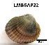  ( - LMBSAP9-001)  @11 [ ] Unspecified (default): All Rights Reserved  Unspecified Unspecified