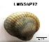  ( - LMBSAP9-001)  @11 [ ] Unspecified (default): All Rights Reserved  Unspecified Unspecified