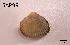  ( - SAP99)  @12 [ ] Unspecified (default): All Rights Reserved  Unspecified Unspecified