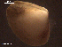  ( - TR1-019)  @12 [ ] Unspecified (default): All Rights Reserved  Unspecified Unspecified
