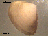  ( - TR1-020)  @11 [ ] Unspecified (default): All Rights Reserved  Unspecified Unspecified