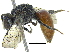  ( - 06713H07-THA)  @13 [ ] CreativeCommons - Attribution (2015) CBG Photography Group Centre for Biodiversity Genomics