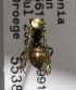  (Nomada ARM1 - CCDB-03753 E10)  @13 [ ] CreativeCommons - Attribution Non-Commercial Share-Alike (2010) Unspecified York University