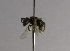  ( - CCDB-00611 D10)  @11 [ ] CreativeCommons - Attribution Non-Commercial Share-Alike (2010) Unspecified York University