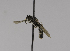  ( - CCDB-01556 B05)  @11 [ ] CreativeCommons - Attribution Non-Commercial Share-Alike (2010) Unspecified York University