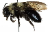  ( - 06717A04-YT)  @13 [ ] CreativeCommons - Attribution (2015) CBG Photography Group Centre for Biodiversity Genomics