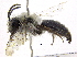  ( - 06717C04-YT)  @13 [ ] CreativeCommons - Attribution (2015) CBG Photography Group Centre for Biodiversity Genomics